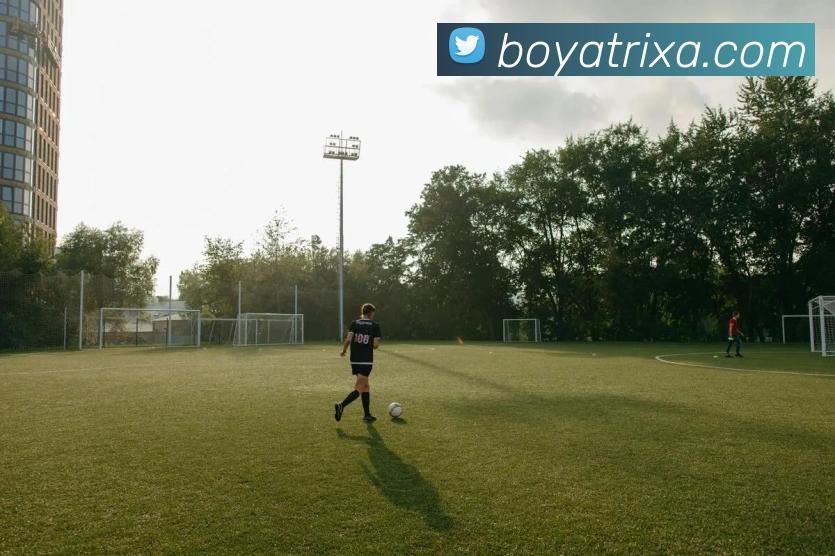 博雅体育APP 封面图